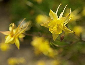 《星刃》15分钟地铁站及下水道关卡游玩演示